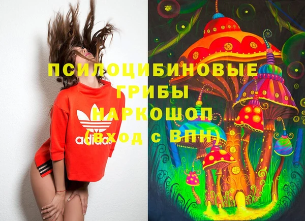 круглые Богородицк